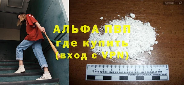 apvp Алзамай